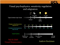 Visual Psychophysics and Sensitivity Regulation