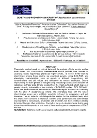 GENETIC and PHENOTYPIC DIVERSITY of Azorhizobium Doebereinerae STRAINS