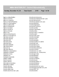 MMA MASTERLIST - Sorted Alphabetically