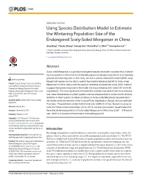 Using Species Distribution Model to Estimate the Wintering Population Size of the Endangered Scaly-Sided Merganser in China