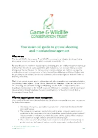 Your Essential Guide to Grouse Shooting and Moorland Management