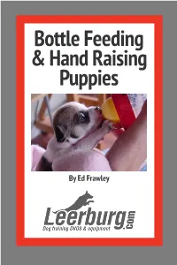 Bottle Feeding & Hand Raising Puppies