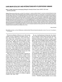 Cave Bear Ecology and Interactions With