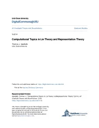 Computational Topics in Lie Theory and Representation Theory