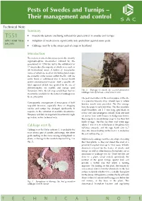 Pests of Swedes and Turnips ^ Their Management and Control