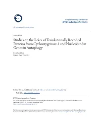 Studies on the Roles of Translationally Recoded Proteins from Cyclooxygenase-1 and Nucleobindin Genes in Autophagy Jonathan J