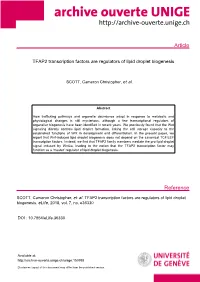 Article (Published Version)