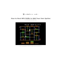 How to Hack NES Roms to Add Your Own Sprites Created by Isaac Wellish