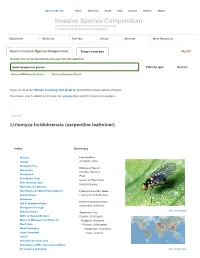 Invasive Species Compendium Detailed Coverage of Invasive Species Threatening Livelihoods and the Environment Worldwide