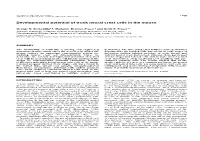 Developmental Potential of Trunk Neural Crest Cells in the Mouse