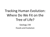 Tracking Human Evolution: Where Do We Fit on the Tree of Life? Geology 230 Fossils and Evolution Phylogenetic Classification of Humans
