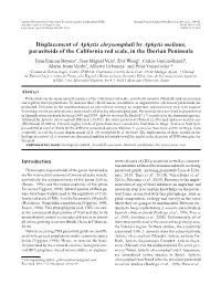 Displacement of Aphytis Chrysomphali by Aphytis Melinus, Parasitoids Of