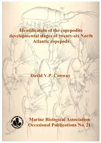 Identification of the Copepodite Stages of Some Common Calanoid Copepods