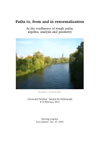 Paths To, from and in Renormalization at the Conﬂuence of Rough Paths, Algebra, Analysis and Geometry