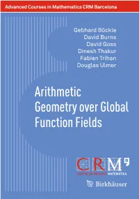 Arithmetic Geometry Over Global Function Fields