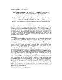 Pollen Morphology of Chestnut Cultivars in Southern China by Using Scanning Electron Microscope