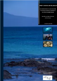 App III Report 15 Dec 04 Web.Qxp