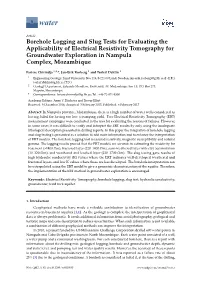 Borehole Logging and Slug Tests for Evaluating the Applicability of Electrical Resistivity Tomography for Groundwater Exploration in Nampula Complex, Mozambique