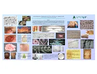 Environmental Terminology in the Language Of