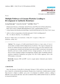 Multiple Pathways of Genome Plasticity Leading to Development of Antibiotic Resistance