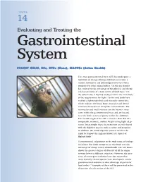 Evaluating and Treating the Gastrointestinal System