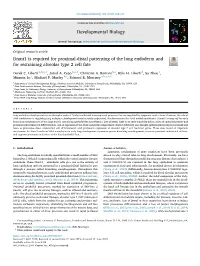 Dnmt1 Is Required for Proximal-Distal Patterning of the Lung Endoderm and for Restraining Alveolar Type 2 Cell Fate