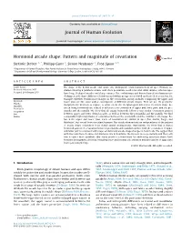 Hominoid Arcade Shape: Pattern and Magnitude of Covariation