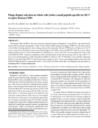 Phage Display Selection on Whole Cells Yields a Small Peptide Specific for HCV Receptor Human CD81