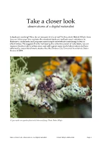 Take a Closer Look: Observations of a Digital Naturalist