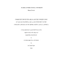 Community Protected Areas and the Conservation Of