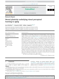 Neural Plasticity Underlying Visual Perceptual Learning in Aging