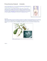 Primary Sclerosing Cholangitis: Introduction