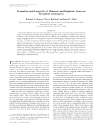 Formation and Longevity of Chimeric and Duplicate Genes in Drosophila Melanogaster