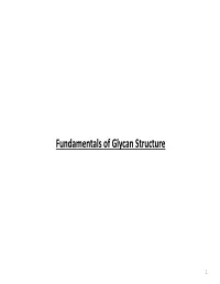 Fundamentals of Glycan Structure 1
