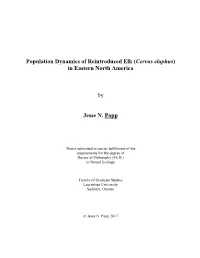 Population Dynamics of Reintroduced Elk (Cervus Elaphus) in Eastern North America by Jesse N. Popp