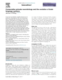 Comparative Primate Neurobiology and the Evolution of Brain Language Systems