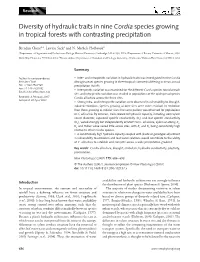 Diversity of Hydraulic Traits in Nine Cordia Species Growing in Tropical