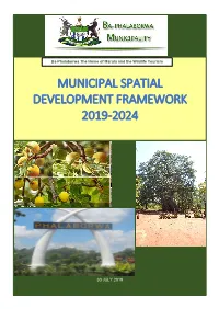 Municipal Spatial Development Framework 2019-2024