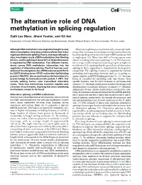 The Alternative Role of DNA Methylation in Splicing Regulation
