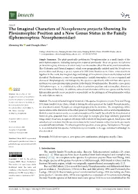 The Imaginal Characters of Neoephemera Projecta Showing Its Plesiomorphic Position and a New Genus Status in the Family (Ephemeroptera: Neoephemeridae)