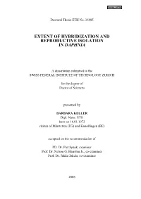 Extent of Hybridization and Reproductive Isolation in Daphnia