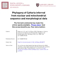 Phylogeny of Cyttaria Inferred from Nuclear and Mitochondrial Sequence and Morphological Data