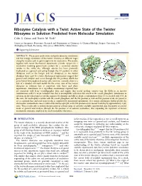 Active State of the Twister Ribozyme in Solution Predicted from Molecular Simulation Colin S