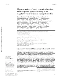 Characterization of Novel Genomic Alterations and Therapeutic Approaches Using Acute Megakaryoblastic Leukemia Xenograft Models