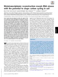 Metatranscriptomic Reconstruction Reveals RNA Viruses with the Potential to Shape Carbon Cycling in Soil