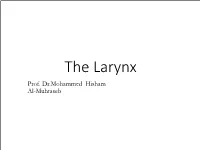 The Larynx Prof