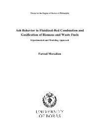Ash Behavior in Fluidized-Bed Combustion and Gasification of Biomass and Waste Fuels
