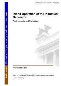 Island Operation of the Induction Generator