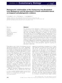 Phylogenetic Relationships of the Cretaceous Frog Beelzebufo from Madagascar and the Placement of Fossil Constraints Based on Temporal and Phylogenetic Evidence