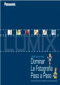 Manual Lumix